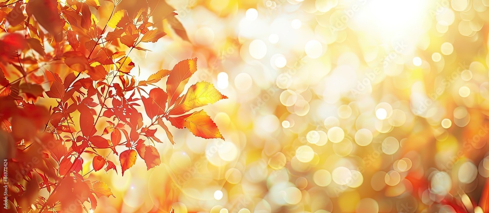 Poster fall foliage with red and yellow hues, bathed in sunlight, creating a backdrop with space for text o