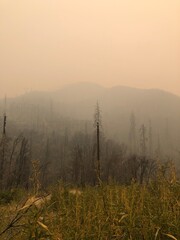 fire in the mountains