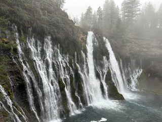 waterfall in the forest