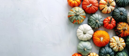 Top view of pumpkins on a white background with space for text - a creative autumn-themed image perfect for Thanksgiving.