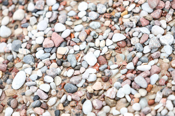 Close-up photo with small seaside rocks near Baltic Sea. Photo taken on a cloudy, gray tone day.