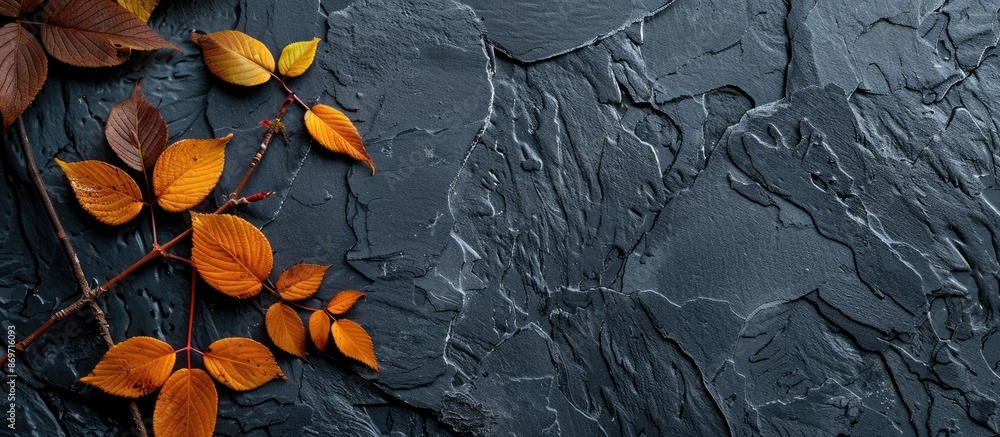 Poster close-up of ash leaves on a black stone background in an autumn-themed setting with room for a copy 