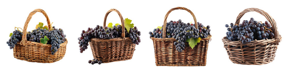 Black ripe grape harvest in wicker baskets isolated on transparent background, bunch sweet fruit...