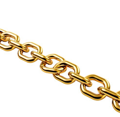 Fototapeta premium A link in the jewelry chain, Isolated on Transparent background.