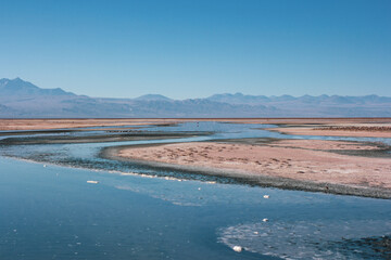 It is a very popular lagoon in Chile where flamingos live