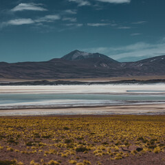 I want to walk all over the salt flat