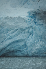 Antarctica Glacier Ice Shelf. Details Blue and White Snow. Icebergs Scattered in the Water Below View From Boat. Climate Change Global Warming. © And They Travel