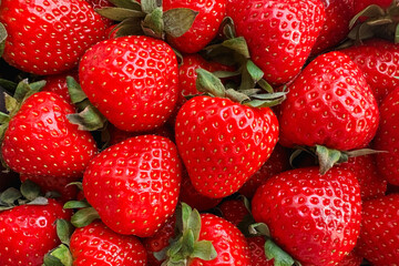 A close up of a bunch of red strawberries. The strawberries are fresh and ripe, with a bright red color.