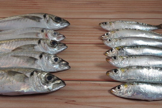 pescado fresco sano vitaminas omega 3 