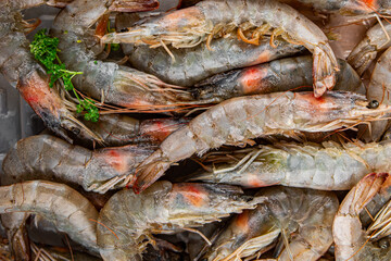 shrimp raw seafood prawns natural food fresh appetizer meal food snack on the table copy space food background rustic keto or paleo diet Pescetarian