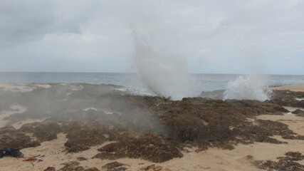 la vague forme des embruns