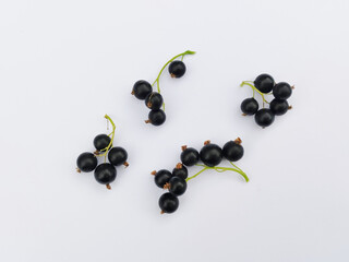 black currant on white background