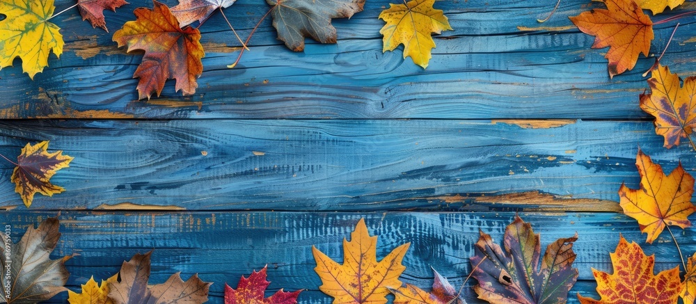 Poster rustic blue wooden table adorned with vibrant fall maple leaves, ideal for thanksgiving holidays. to
