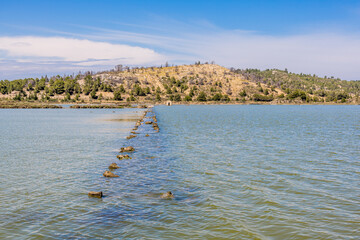 Promenade des pontons dans la Saline de Peyriac-de-Mer