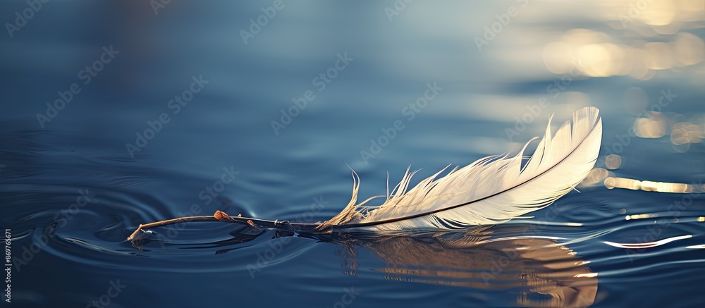 Poster Feather of a bird resting on the water, providing room for a caption within the image.