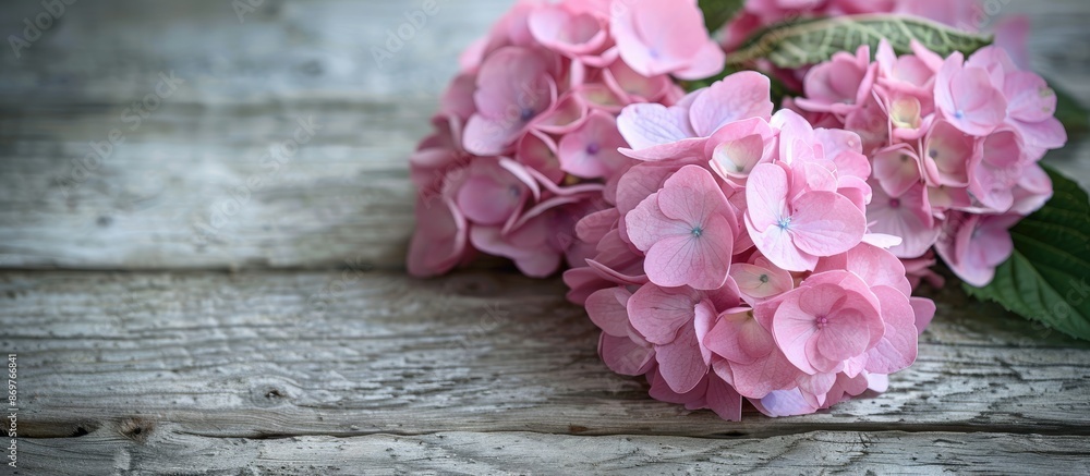 Poster Pale pink hydrangea blossoms displayed with paper on a wooden surface background, providing space for adding text to the image.