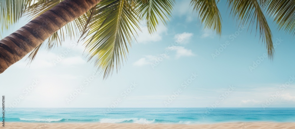 Poster tropical beach scene with palm tree border against the backdrop. copy space image available.