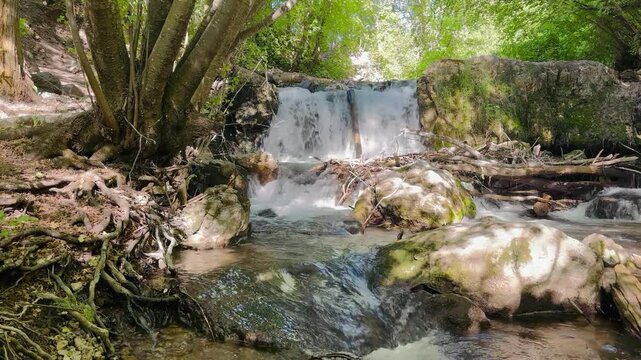 Nature river waterfall flowing through peaceful green forest of trees at the Hobbit Caves Logan Canyon