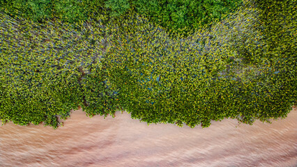 Mangal das Garças Portal da Amazônia Belém Pará Brasil Natureza Jardim Botânico Animais Aves...
