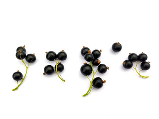 Blackcurrant berries on white background
