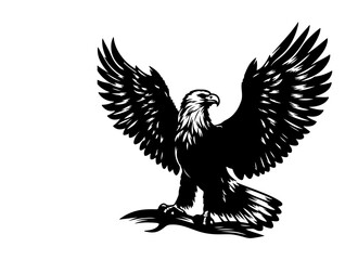 Obraz premium eagle on white