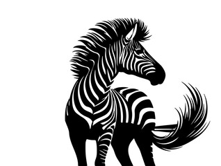 Fototapeta premium zebra isolated on white
