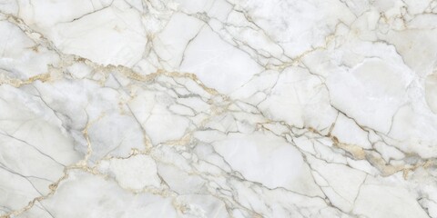 White Marble Texture with Golden Veins - Seamless Pattern for Background and Design