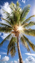 Fototapeta premium Tall palm tree from a low angle against a clear blue sky with scattered clouds. The sun shines through the leaves, creating a warm, radiant effect.