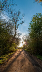 Fototapeta premium The sun setting over a dirt road.