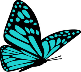 Blue Butterfly Flies on White Background. Enchanting Apollon Parusnik Butterfly Wings. Rare Lepidoptera Garden Wildlife.