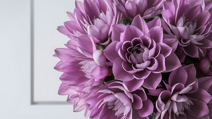 Fresh eustoma flowers delicate petals