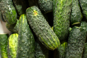 Closeup view of a pile of cucumbers	