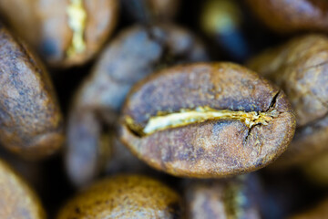 Intricate details of a roasted coffee bean