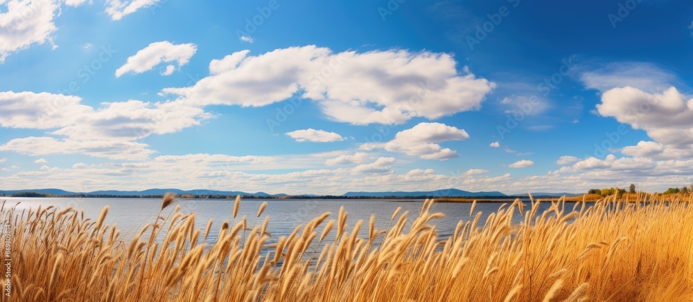 Aufkleber high quality photo displaying dry yellow reeds and scenic lakes under a cloudy blue sky with a copy 
