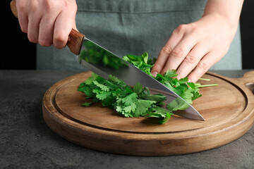 Woman cutting fresh coriander at grey textured table, closeup