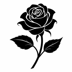 black and white rose