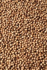 Dried coriander seeds as background, top view