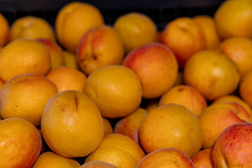 texture of ripe apricots