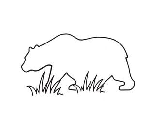 Bear Graphic
