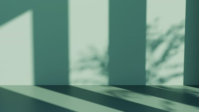 Sunny green room. 3d render, realistic design. Foliage leaf shadow, sunlight, looped animation. Minimalistic modern style, empty space. template for product show, background