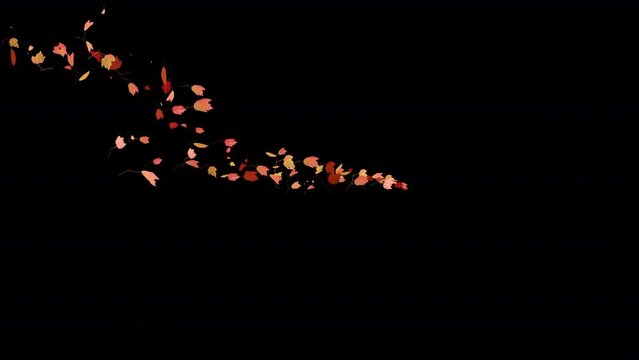 Colorful Autumn Leaves - Windy Flying Spurt - 3 - Alpha Channel - Realistic 3D Transition animation with alpha channel on transparent background