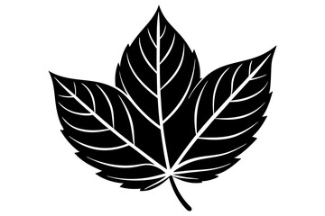 illustrator hand drawn leaf icon