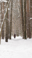 A snowy forest with trees covered in snow. The trees are bare and the snow is covering the ground. Scene is peaceful and serene, as the snow creates a quiet and calm atmosphere.