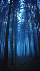 Obraz premium A mesmerizing forest with tall, dense trees bathed in a mystical blue glow, evoking a sense of wonder and tranquility. Perfect for nature and fantasy lovers.