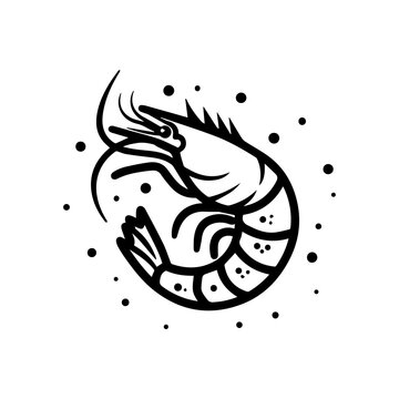 recommend clip art: prawn icon or modern line symbol. Vector line art and icon design with bold outline. Black and white Pixel Perfect minimalistic symbol isolated white background. Silhouette simple thin sign
