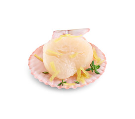 Raw scallop with lemon zest, thyme and shell isolated on white