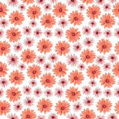 Watercolor seamless pattern of osteospermums.Colorful flowers isolated on white background.