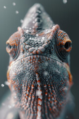 Chameleon Macro Close-Up with Detailed Scales in Nature Wildlife Photography