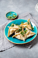 Traditional Jewish Kreplach soup with meat and carrot, gray background