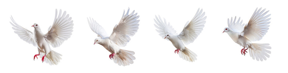 Fototapeta premium White doves in flight with outstretched wings on transparent background, purity faith